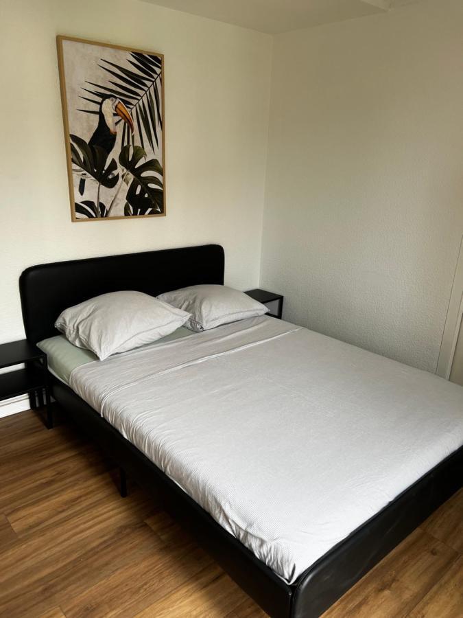 פרפיניין Appartement Prox Lycee Arago מראה חיצוני תמונה